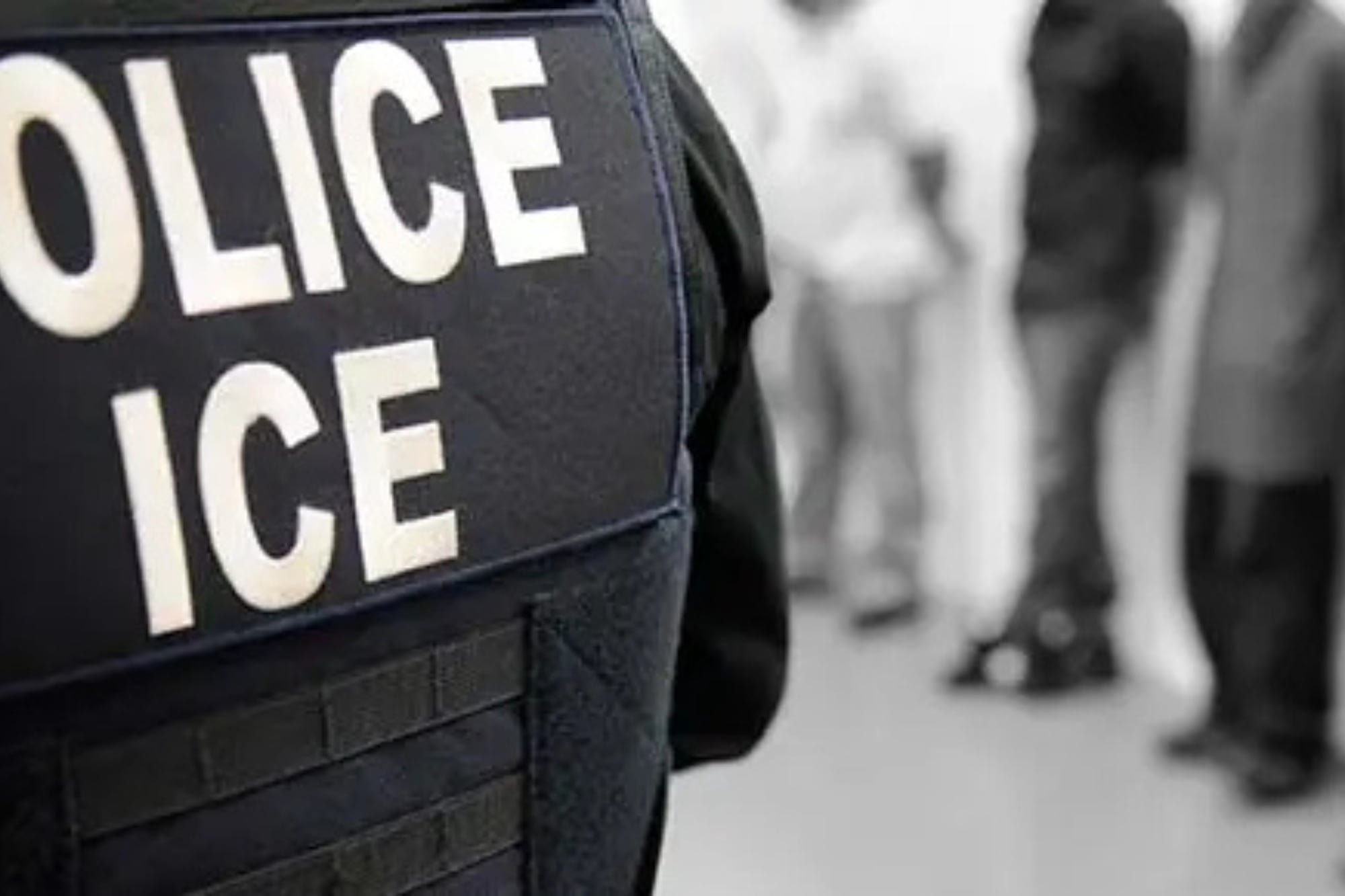 309 personas fueron arrestadas por