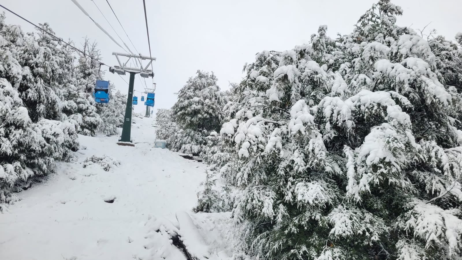 Nevó como en invierno, pero en marzo: Bariloche quedó tapada de nieve en un fenómeno poco habitual