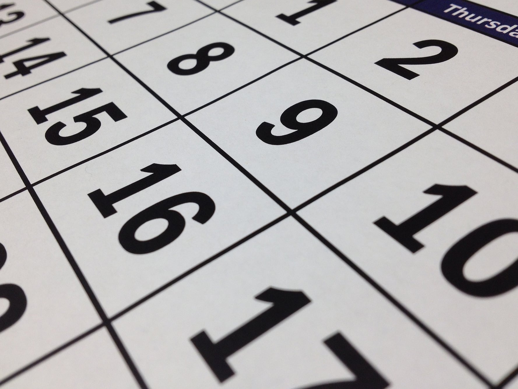 Feriados: cuándo cae el fin de semana extralargo de noviembre