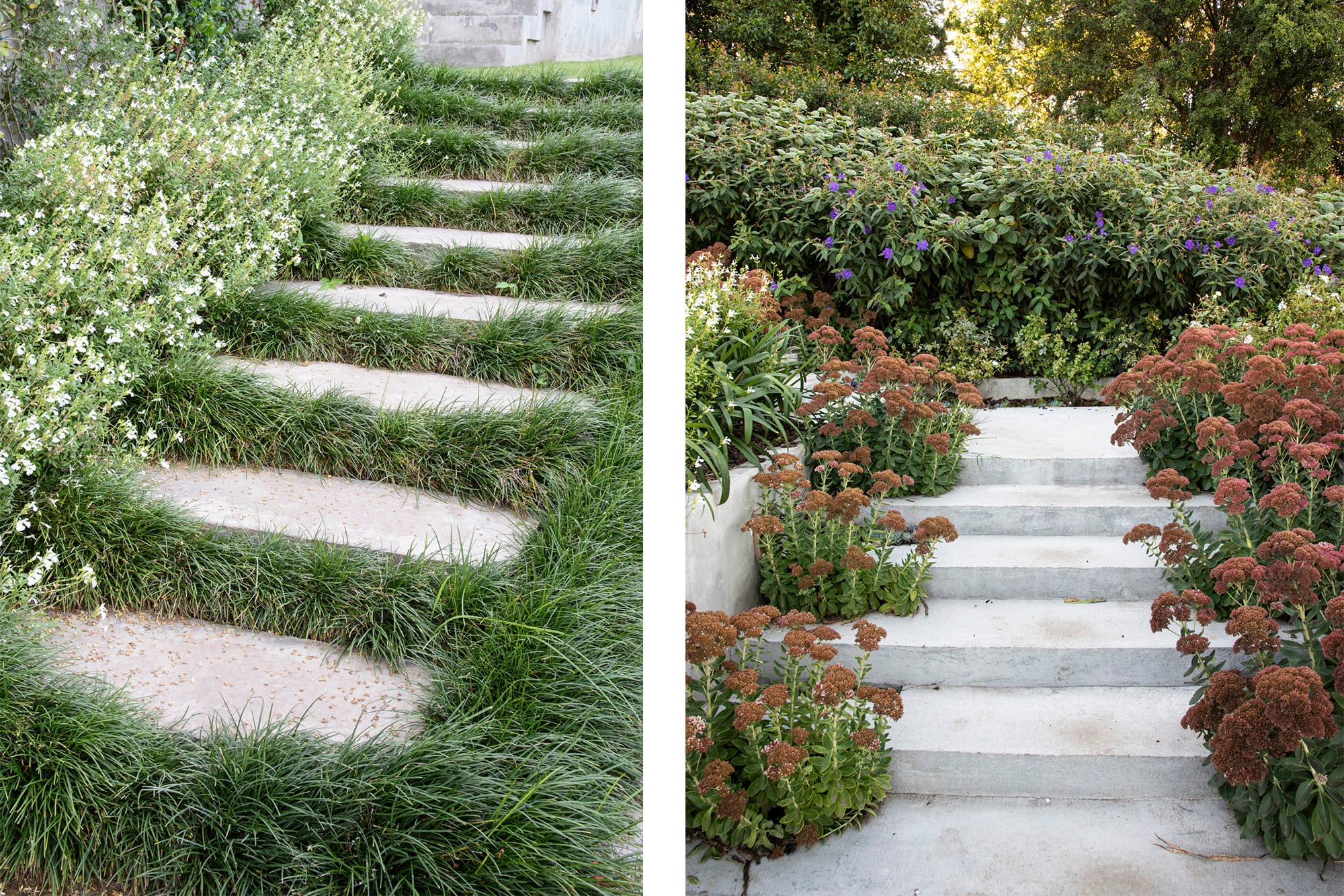 La combinación de escaleras con vegetación suaviza las líneas y aporta continuidad visual