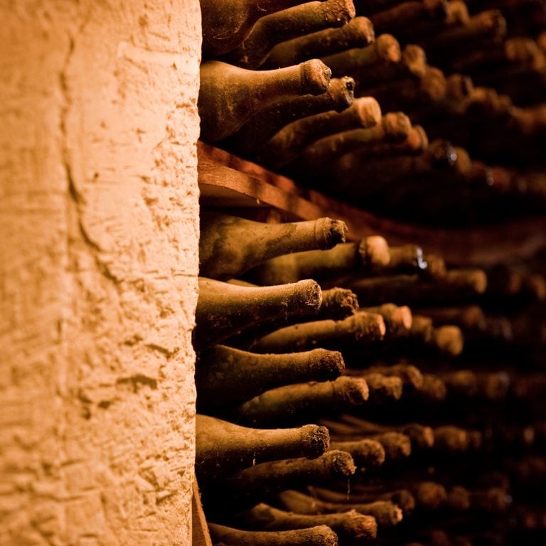 Reencorchan vinos de hace 130 años valuados en US$5 millones y ocultos por colaboradores nazis