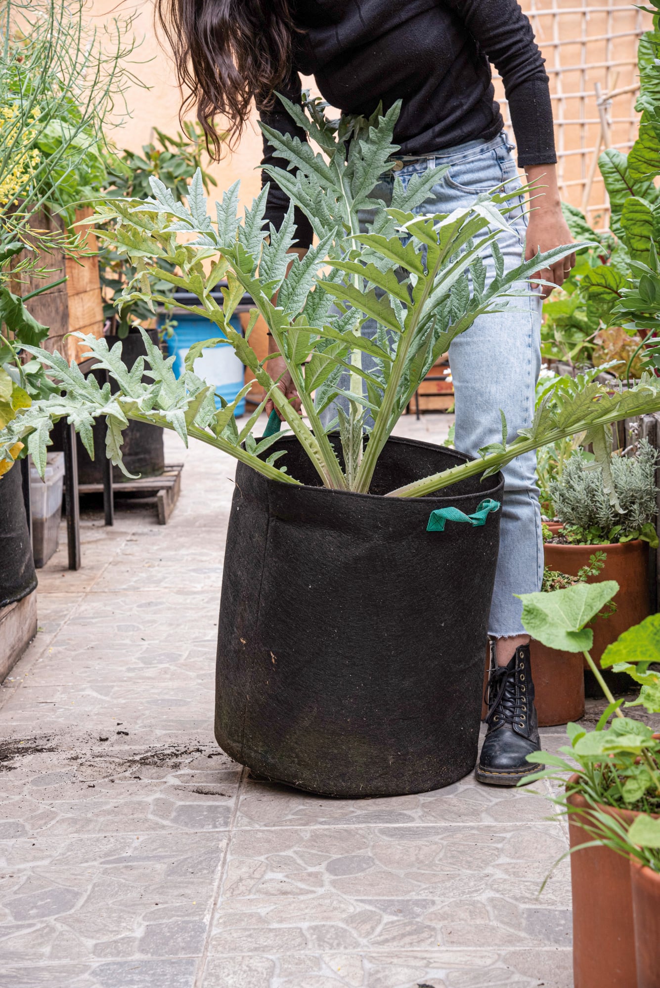 Las bolsas de cultivo con manijas permiten moverlas según las necesidades de sol o protección de las lluvias