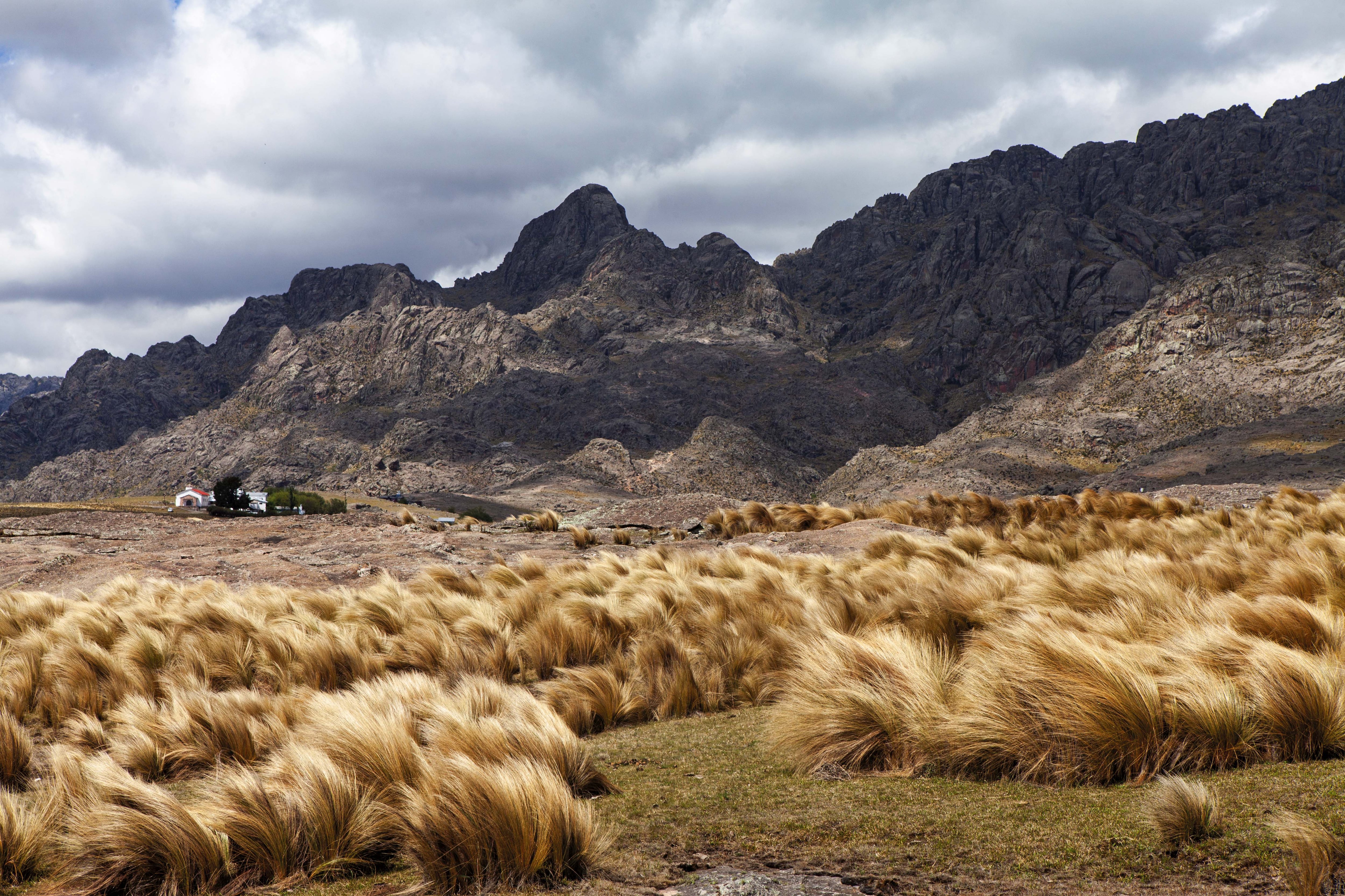 Desde Casas Nuevas se avanza hacia el inicio del sendero norte que lleva a la base del cerro Mogote