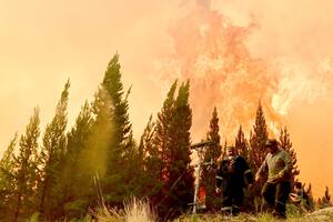 Cartas de lectores: Una prioridad, reforma laboral, escrituras
