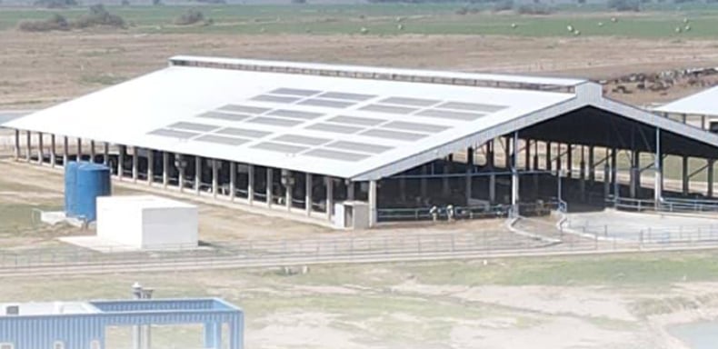 “Hoy tenemos un tambo estabulado con 730 vacas en ordeñe, que producen unos 28.000 litros diarios