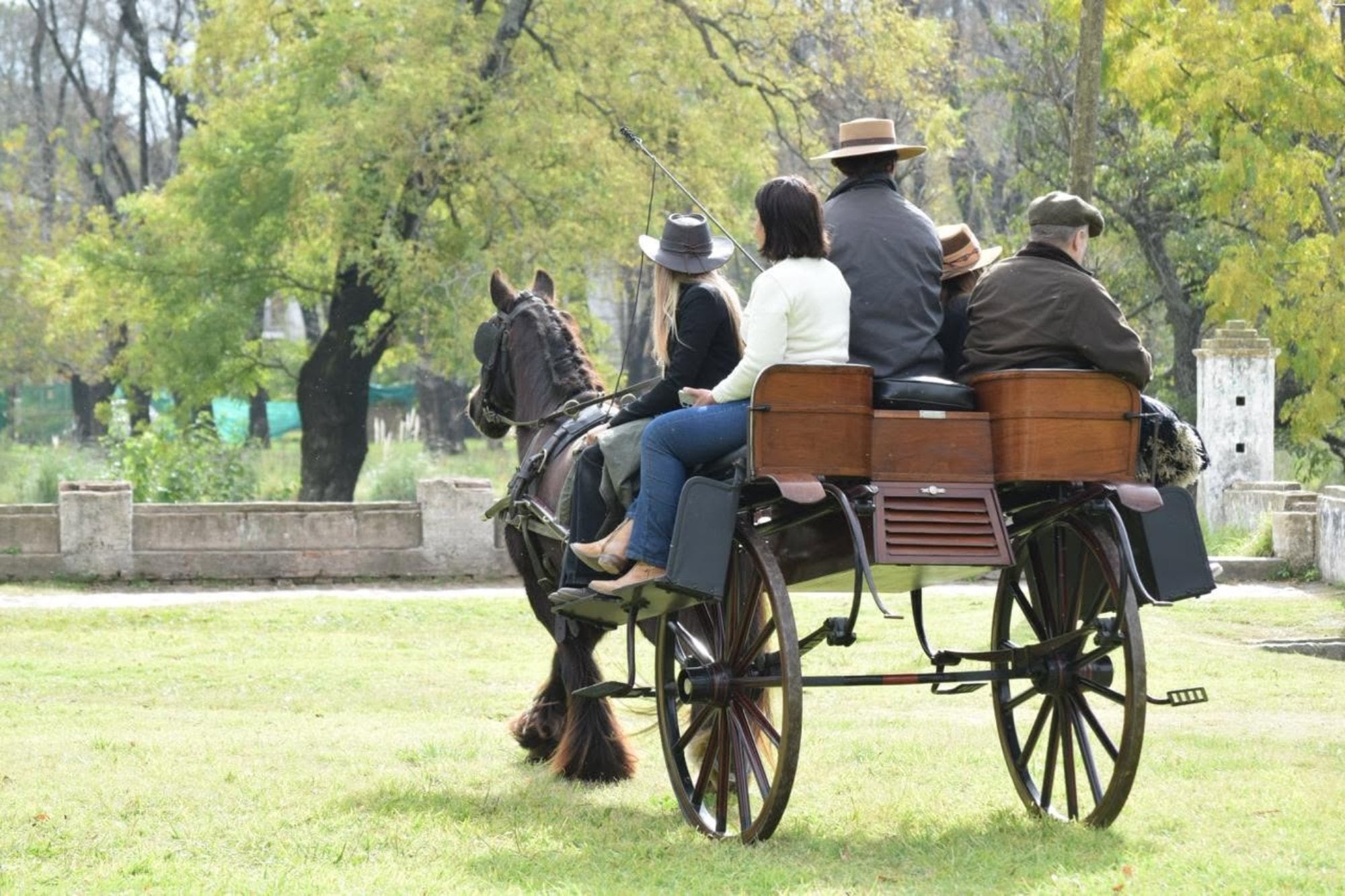 “Jaunting car”: el sorprendente motivo por el cual un carruaje tiene asientos laterales