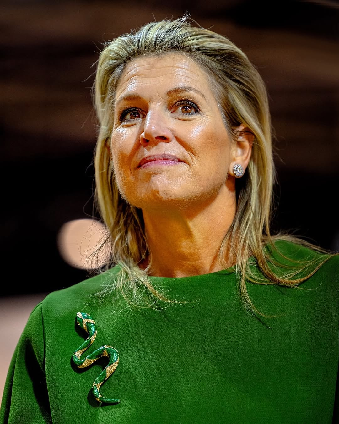 En enero, Máxima se robó todas las miradas con el prendedor verde y dorado con brillantes en forma de serpiente (Foto: Instagram @royaleurope)
