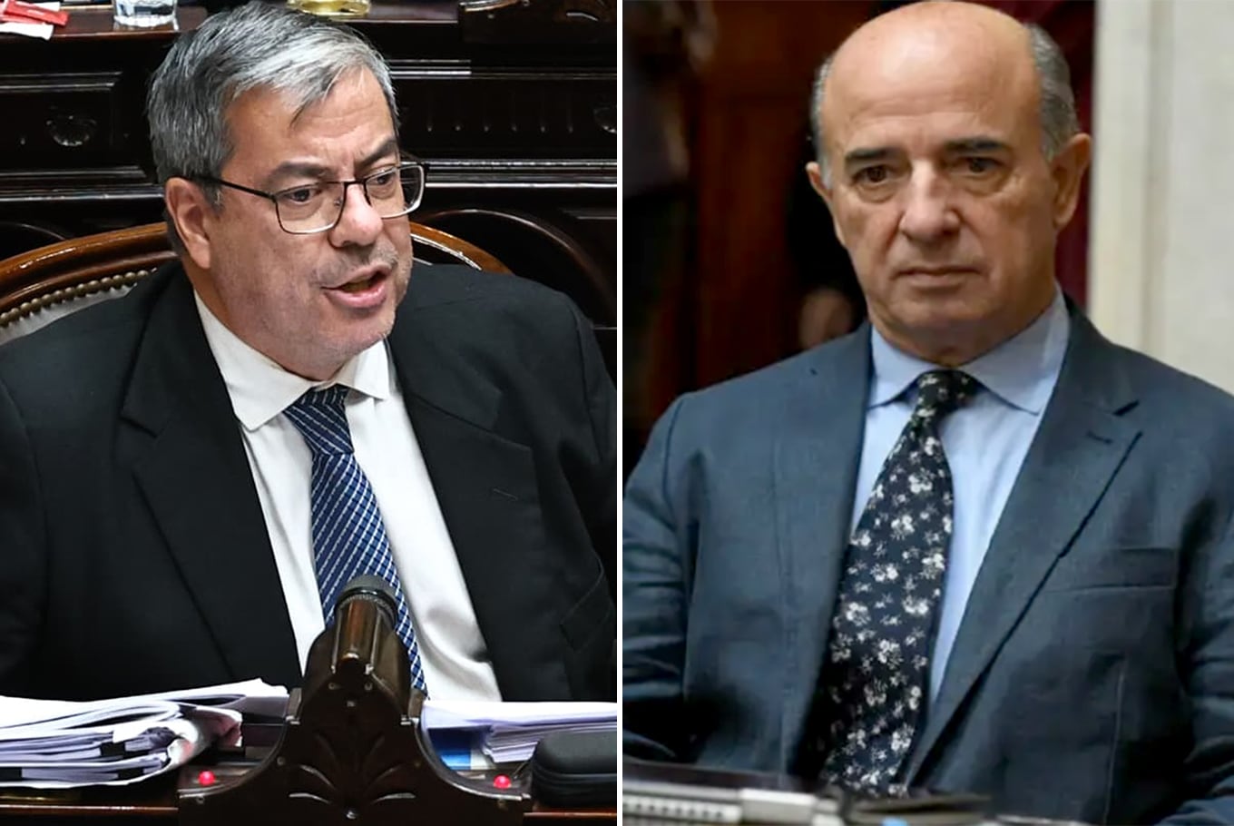Germán Martínez (PJ) y Beltrán Bendit (LLA)