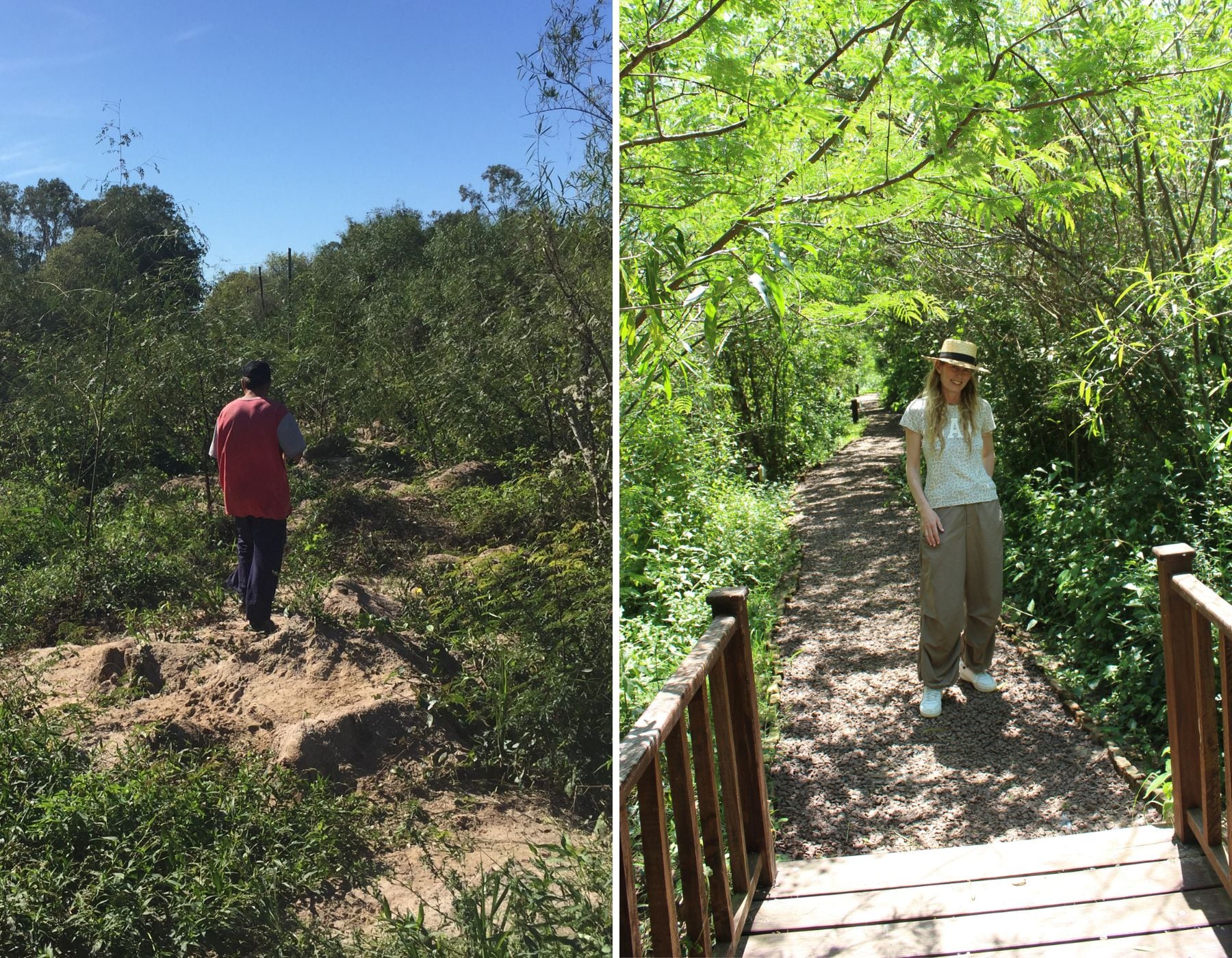 El antes y el después de la transformación de un zanjón desértico y arcilloso para drenaje a un senderito sinuoso y lleno de vegetación que te invita a llegar hasta un mirador sobre la laguna donde está en Mariscador representado. Entre Maricá, Ceibos, Curupies y Vernonias