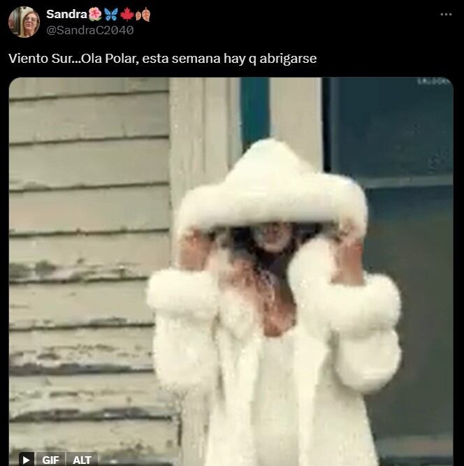 Los memes referidos a la llegada de la ola polar