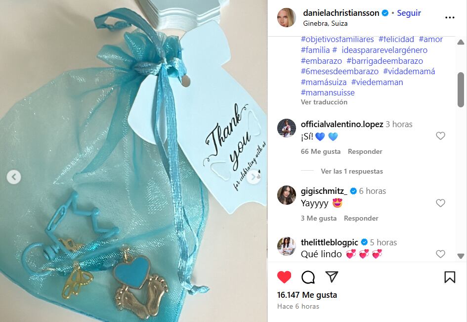 El comentario que llamó la atención en el posteo (Foto: Instagram @danielachristiansson)
