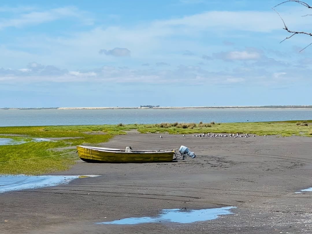 El agua en Los Pocitos retrocede tanto que es posible divisar bancos de ostras