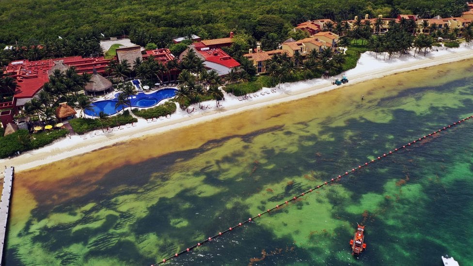 En algunas zonas la presencia de sargazo es menor, en parte por las barreras que colocan los hoteles mar adentro.