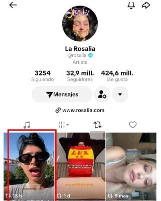 El gesto de Rosalía generó una ola de comentarios en redes sociales (Captura: TikTok @rosalia)