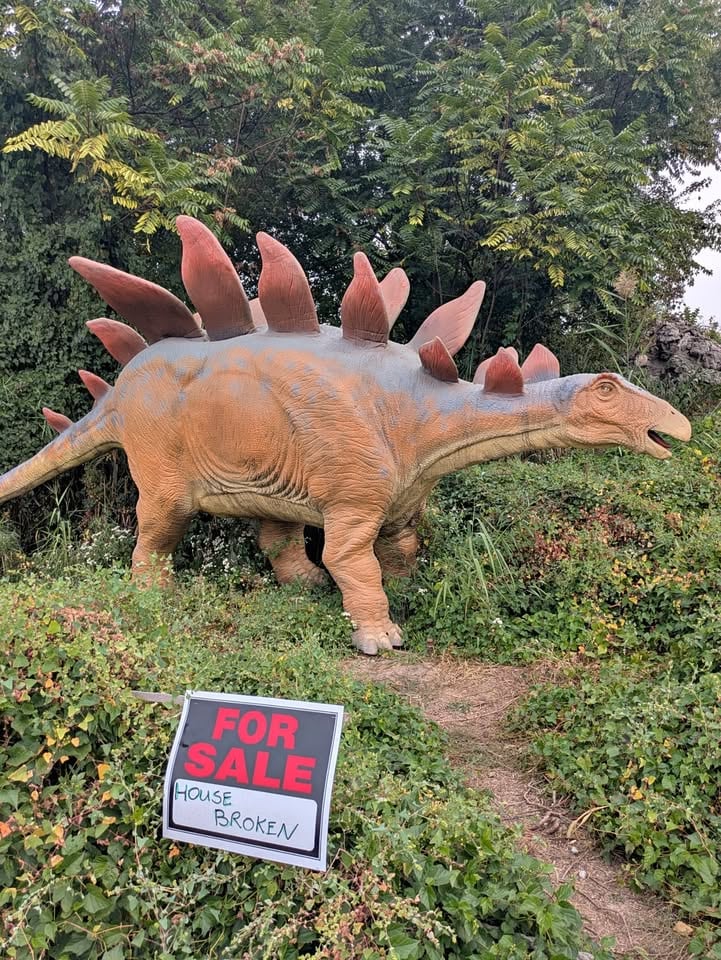 Los compradores serán responsables del envío o traslado de los dinosaurios (Facebook/Madrid Rex)