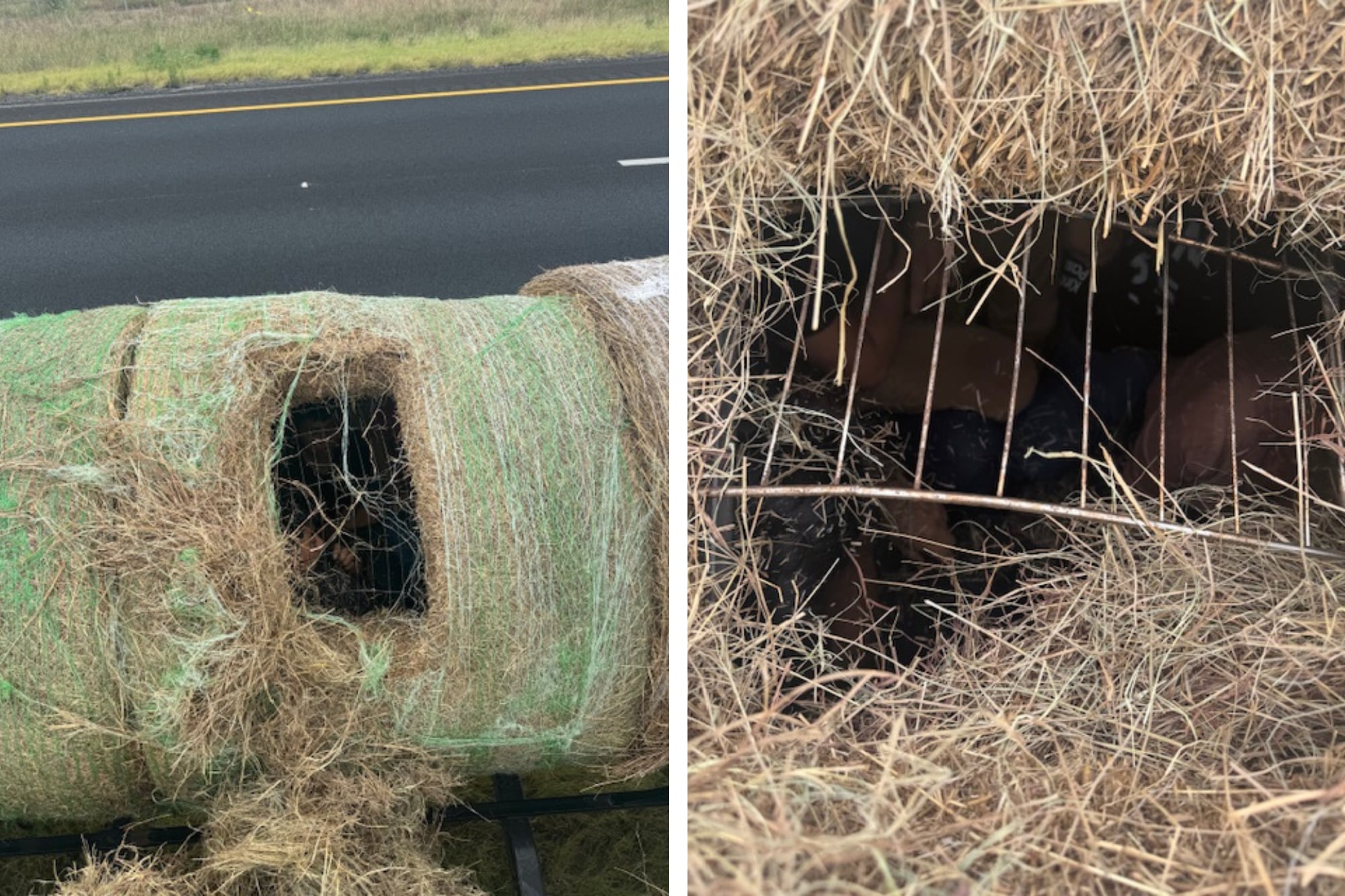 Los migrantes eran transportados en condiciones peligrosas para evitar que los descubrieran