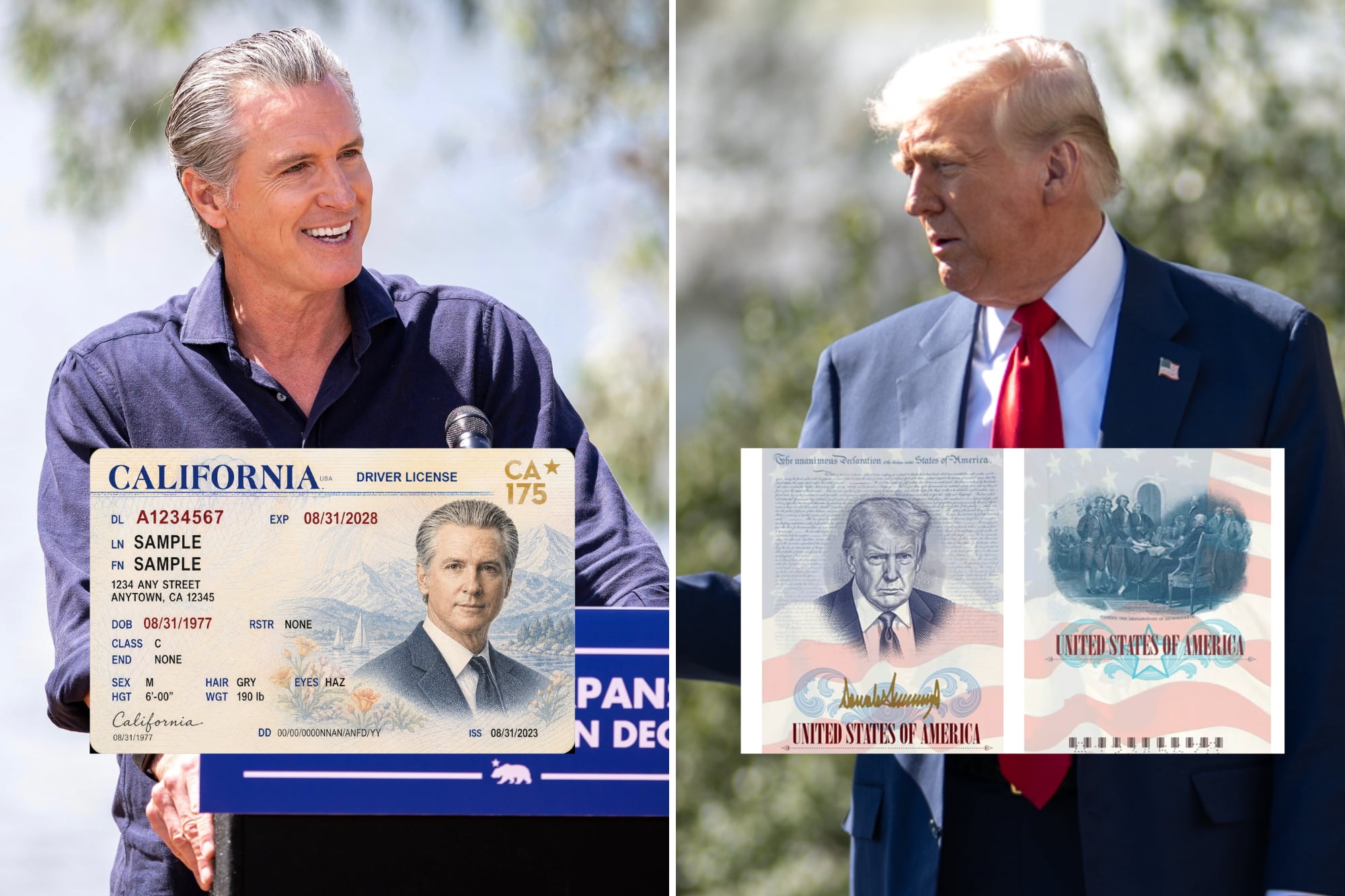 Newsom se burla de Trump y anuncia una licencia de conducir de California con su foto: “La mejor de la historia”