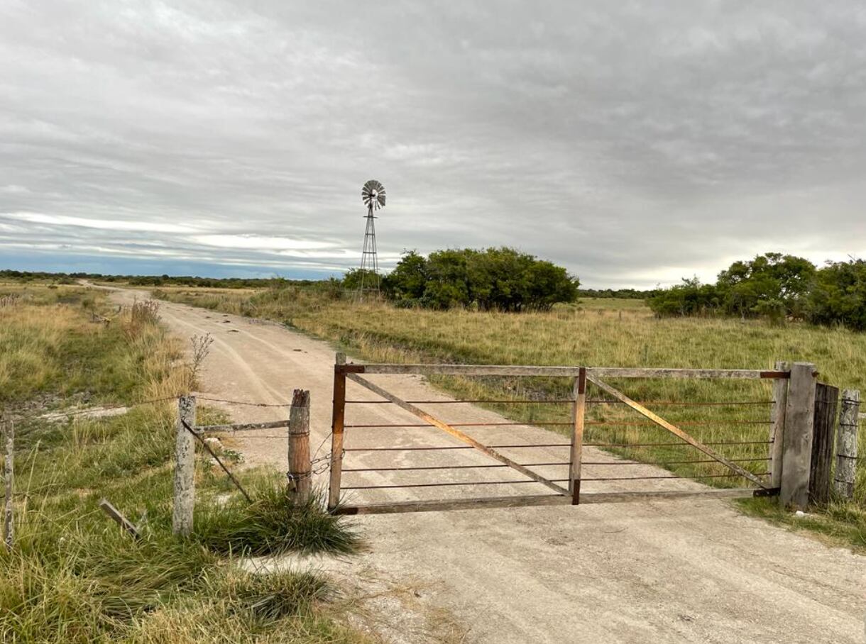 En la actualidad, para los campos ganaderos o mixtos, hay más oferta y la demanda es más selectiva, pero sostenida