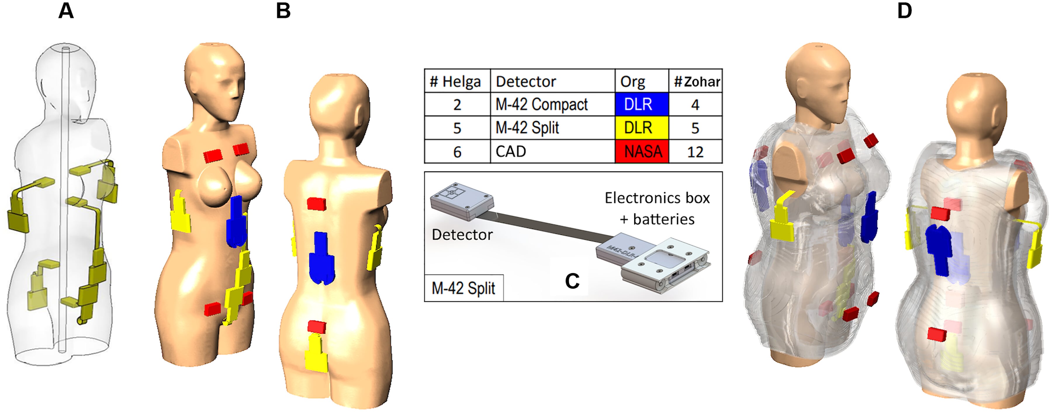 Modelos de los maniquíes y la ubicación de los detectores utilizados en el experimento MARE