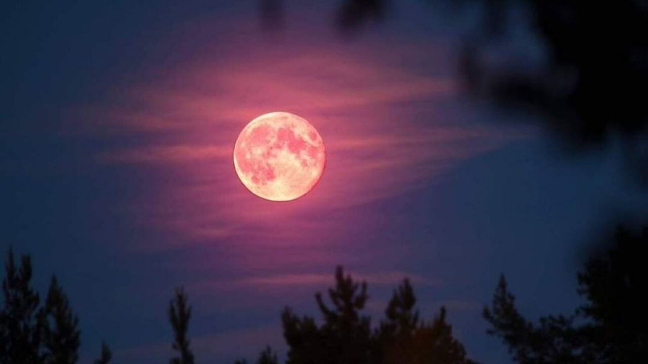 ¿Cuándo se puede ver la “Luna rosa” de abril 2024 en la Argentina?
