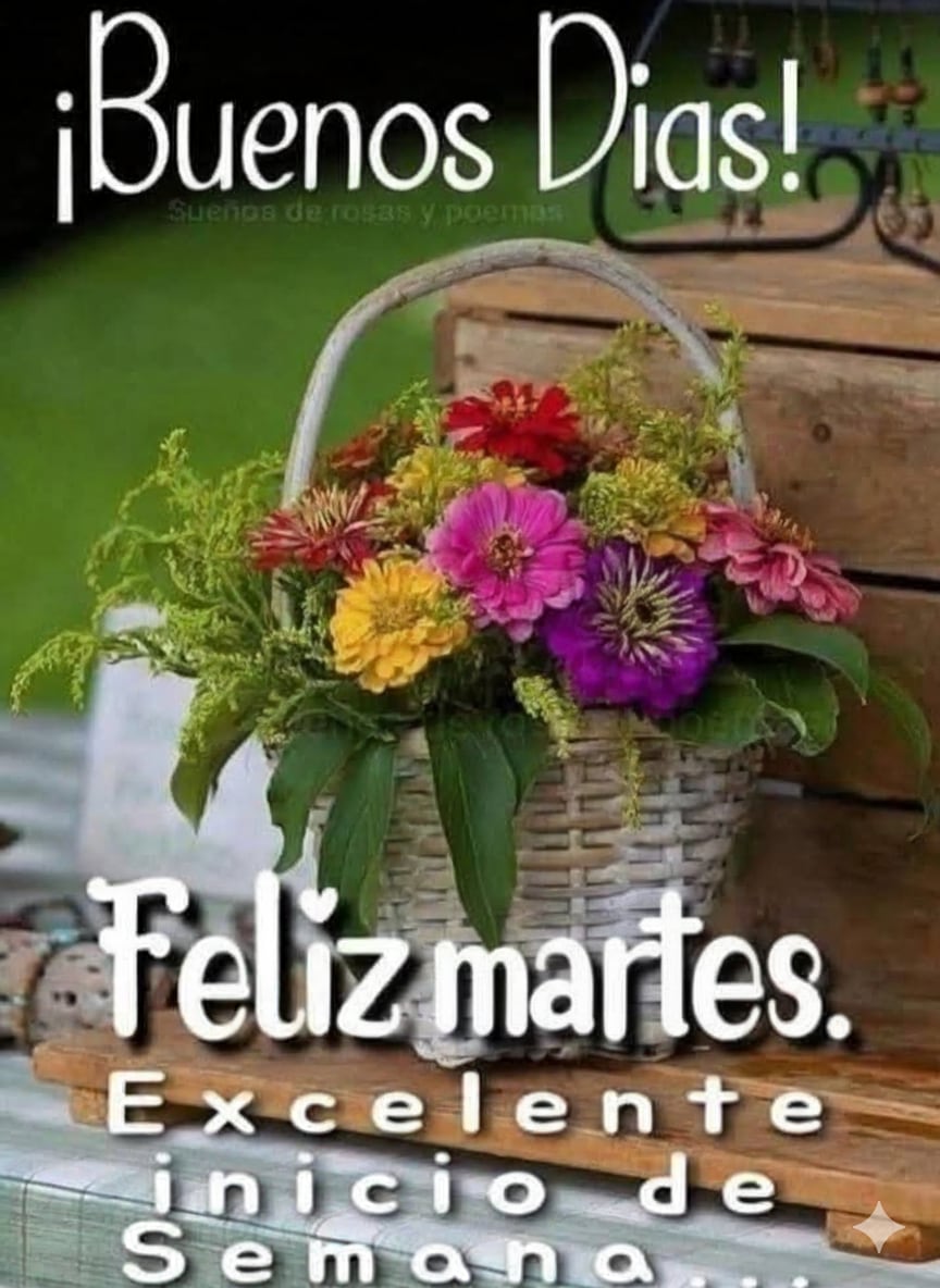 Otra opción para saludar a compañeros, amigos o familiares