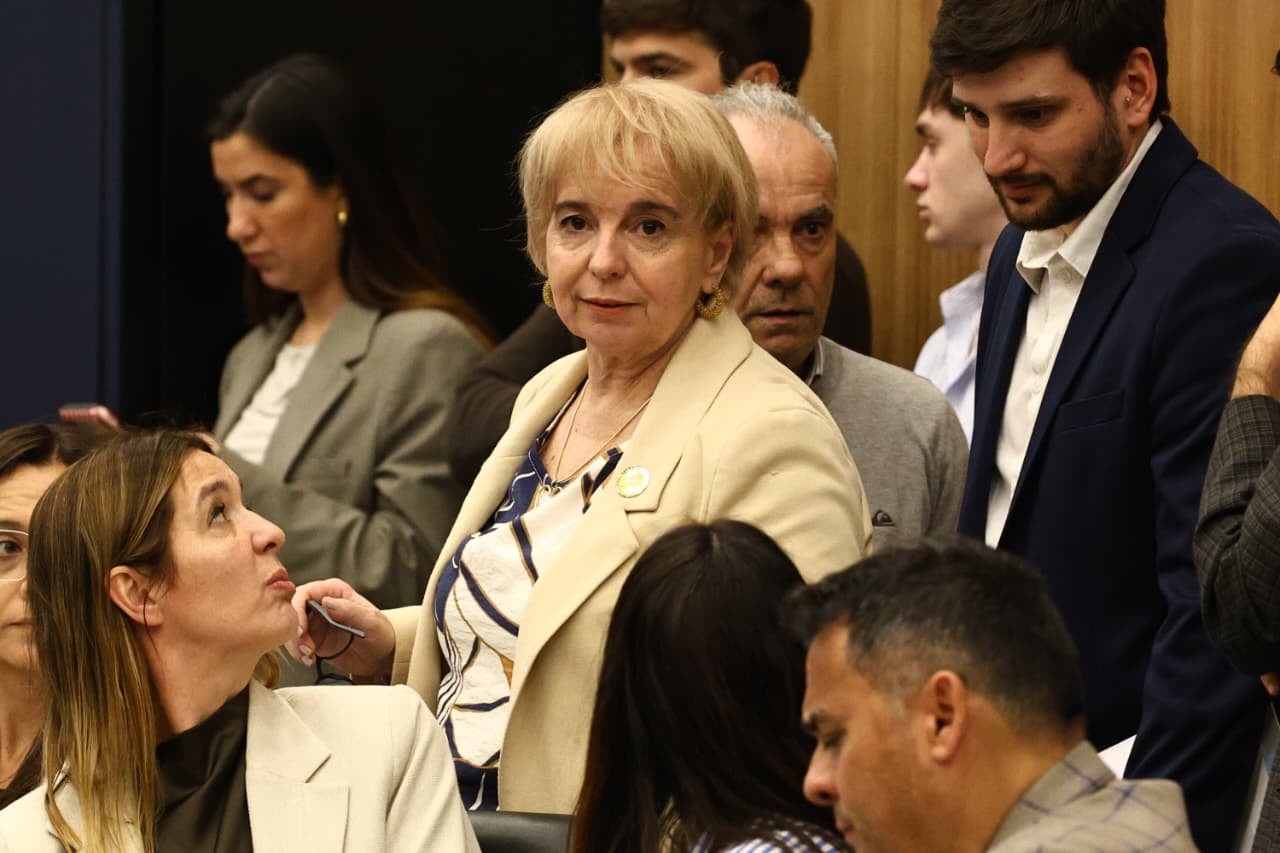 La diputada Silvana Giudici