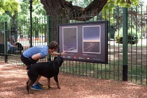 Las imágenes más impactantes del eclipse total de sol se revelan en una plaza porteña