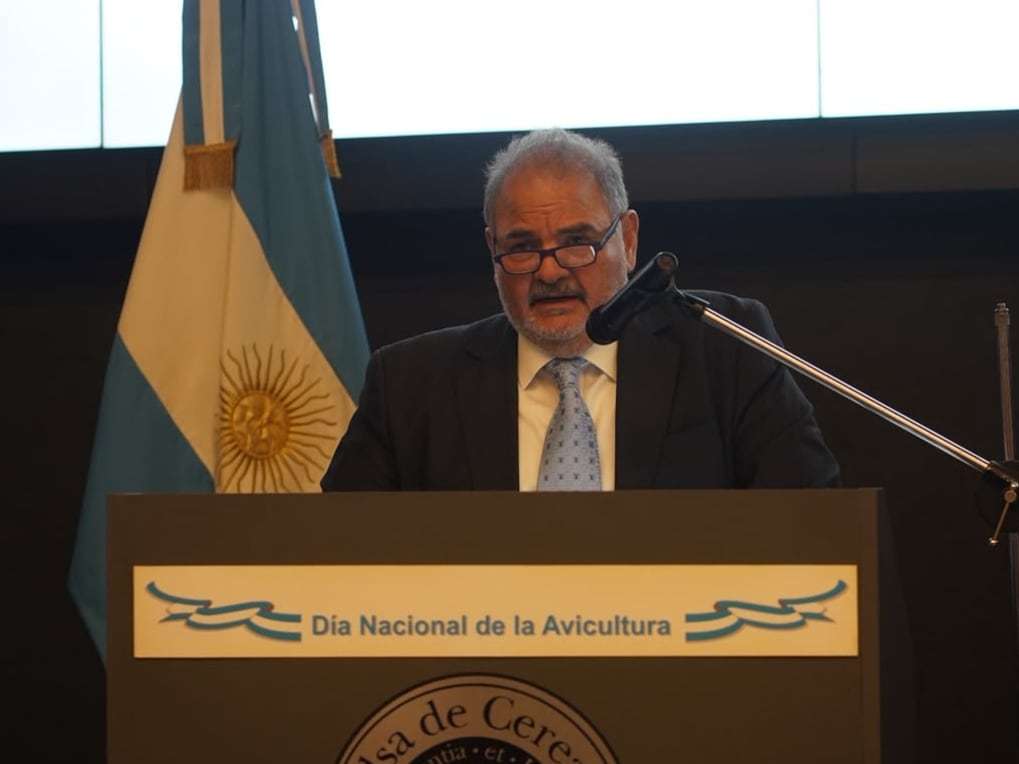Negocio avícola: reclaman apoyo político para reabrir China y avanzar con una baja de impuestos