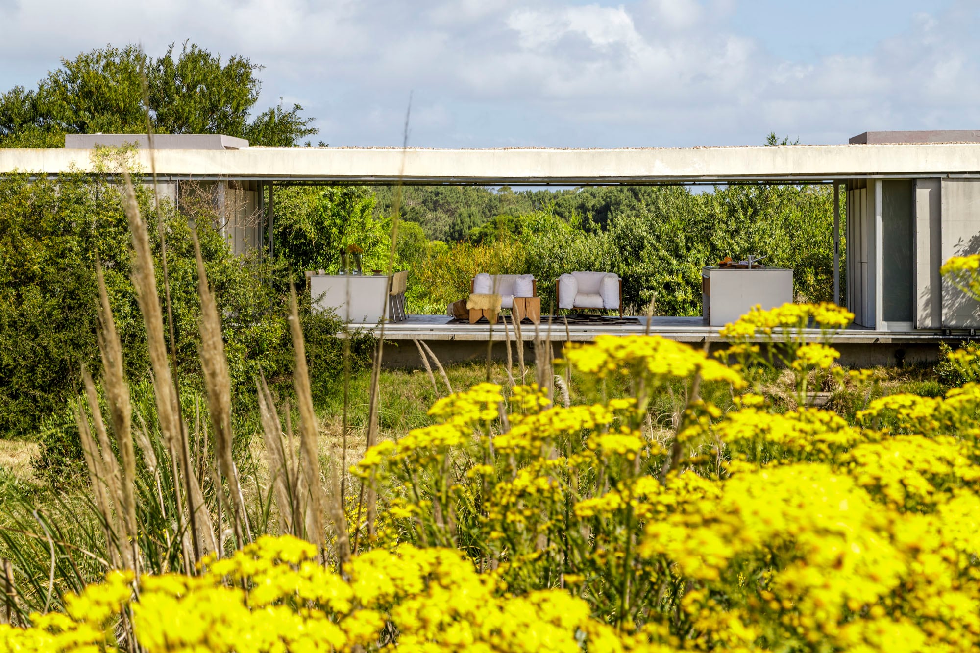 La construcción está apoyada sobre dos vigas longitudinales que sostienen la losa principal y la separan del terreno, donde la mata silvestre se deja crecer en todo su esplendor.