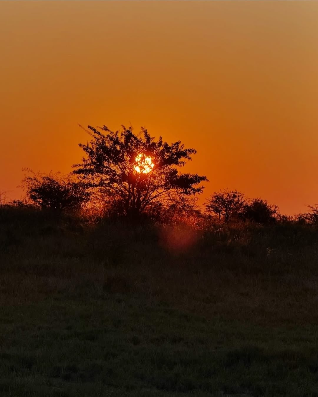 La pareja quedó encantada con los atardeceres (Foto: Instagram @carla.pereyra15)
