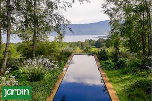 10 cosas que no sabías sobre las piletas biológicas