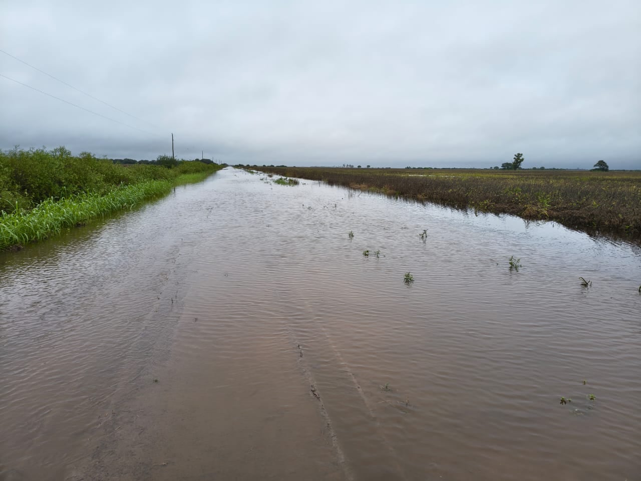 “Nos barrió el campo”: desolación, miedo a perderlo todo y bronca de los productores en el norte de Santa Fe