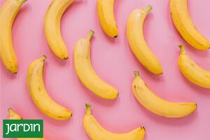 Descubrí el poder oculto de las cáscaras de banana