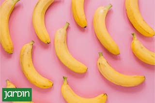Descubrí el poder oculto de las cáscaras de banana