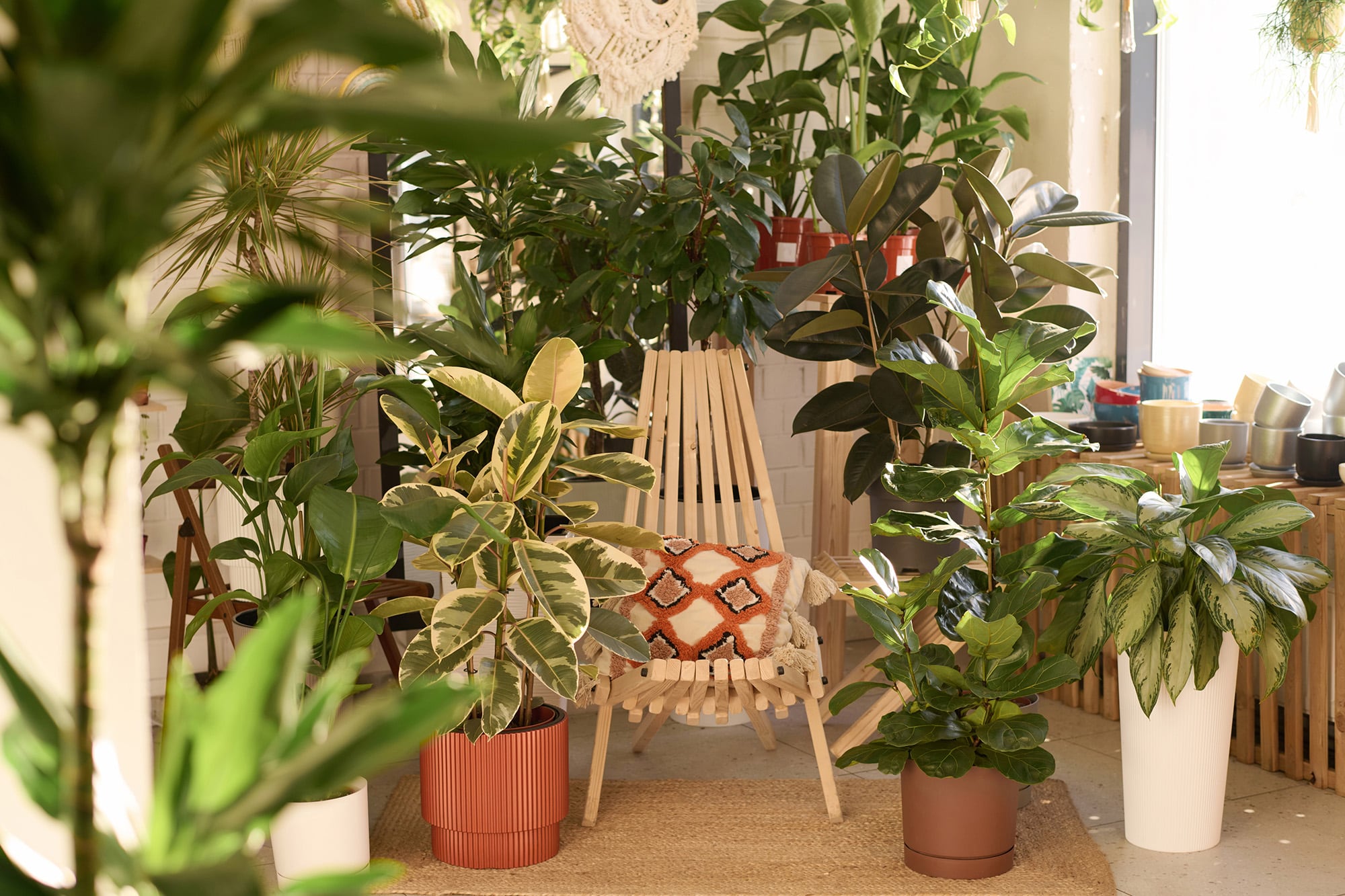 Llenar la casa de plantas puede hablar de una necesidad de conexión con lo vivo