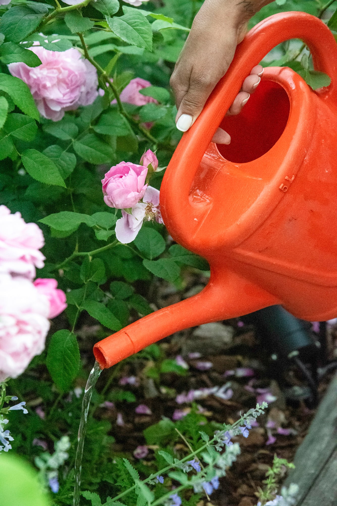 La primavera es un período de crecimiento activo en el que se incrementan las necesidades de agua de las plantas