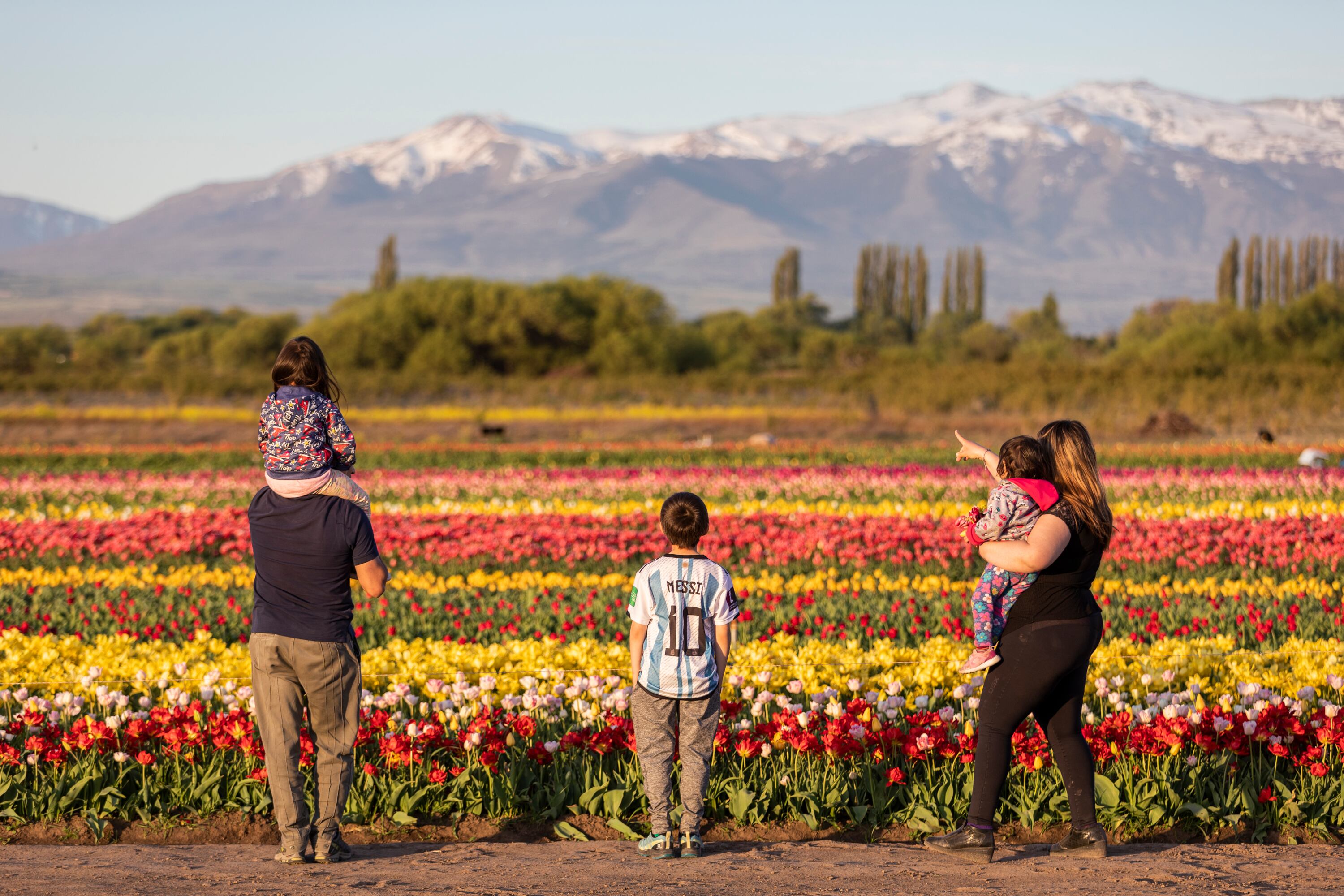 Hace ocho años que la chacra recibe turistas durante el período de floración. El resto del año permanece abierta con la venta de bulbos y la casa