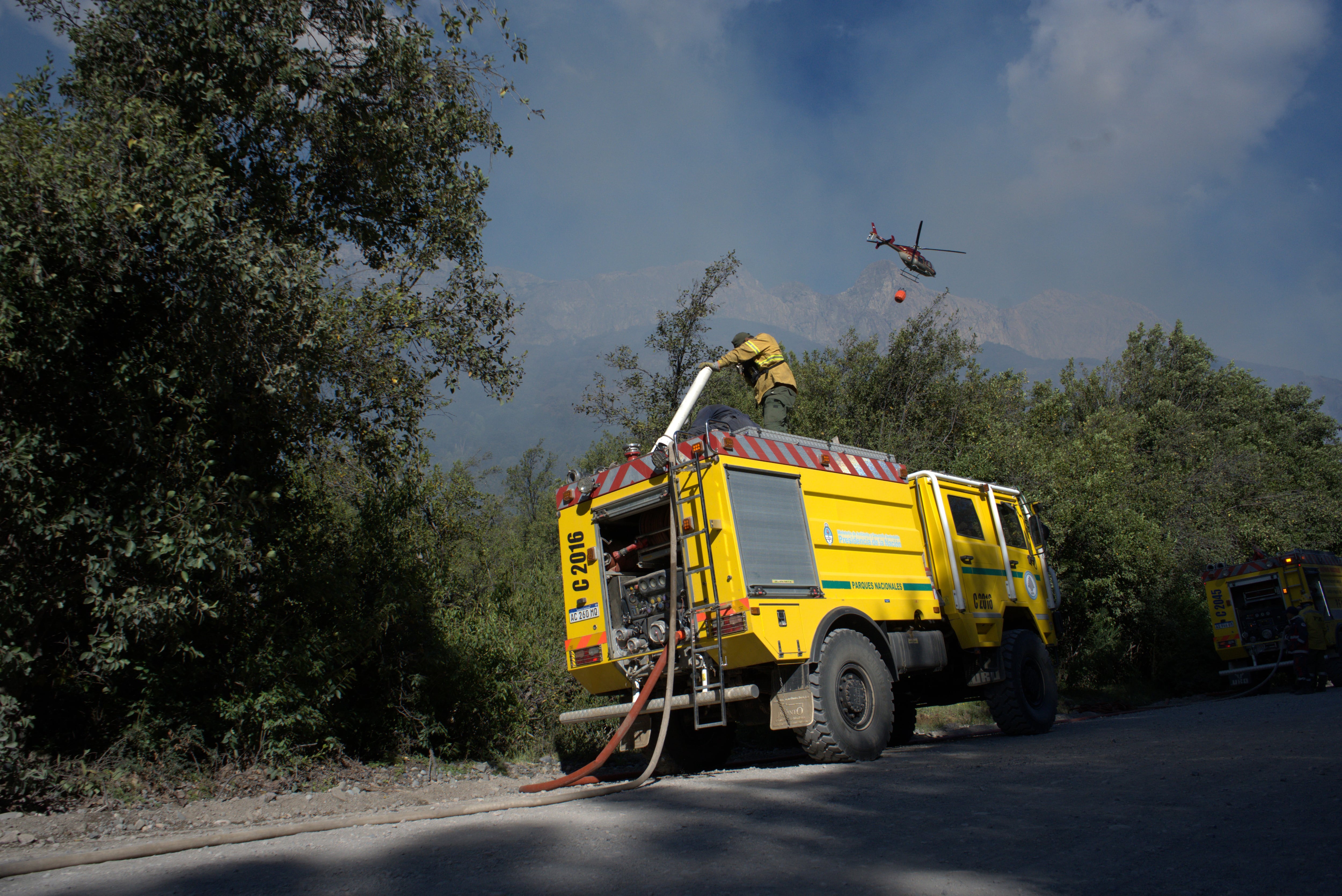 El trabajo de los brigadistas en el Parque Nacional Los Alerces