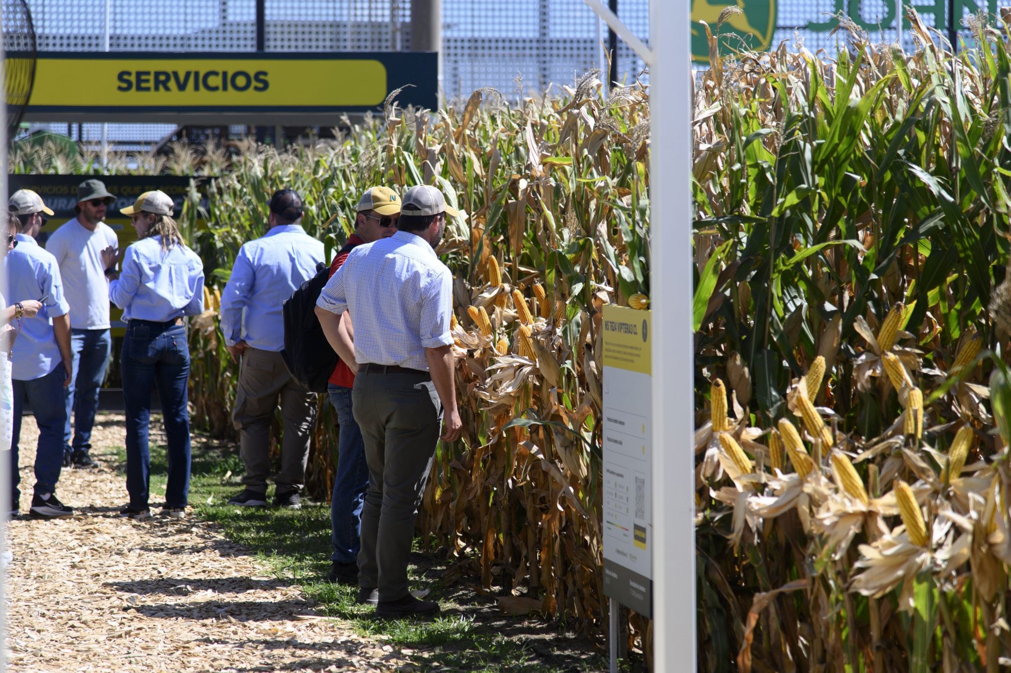Expoagro: de los préstamos en dólares con tasa 0% para maquinaria a servicios que atraen a los productores 7 Hay avidez de los productores por los distintos productos y servicios