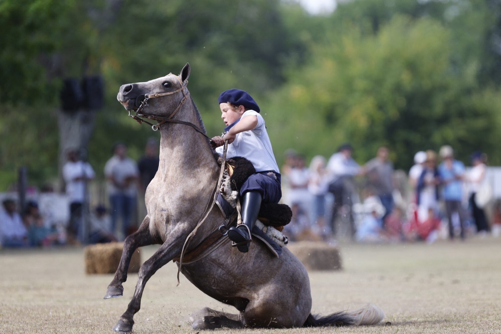 Pruebas de doma, juegos, emoción y el vínculo inquebrantable entre niños y caballos. Severiano Larralde en acción
