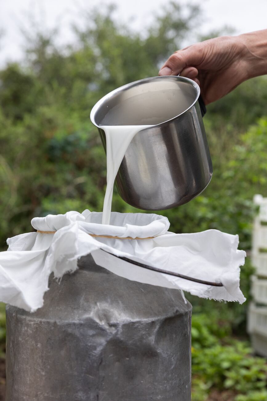 Hacen queso siguiendo el estilo francés.