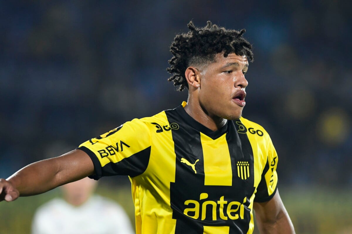 Bruno