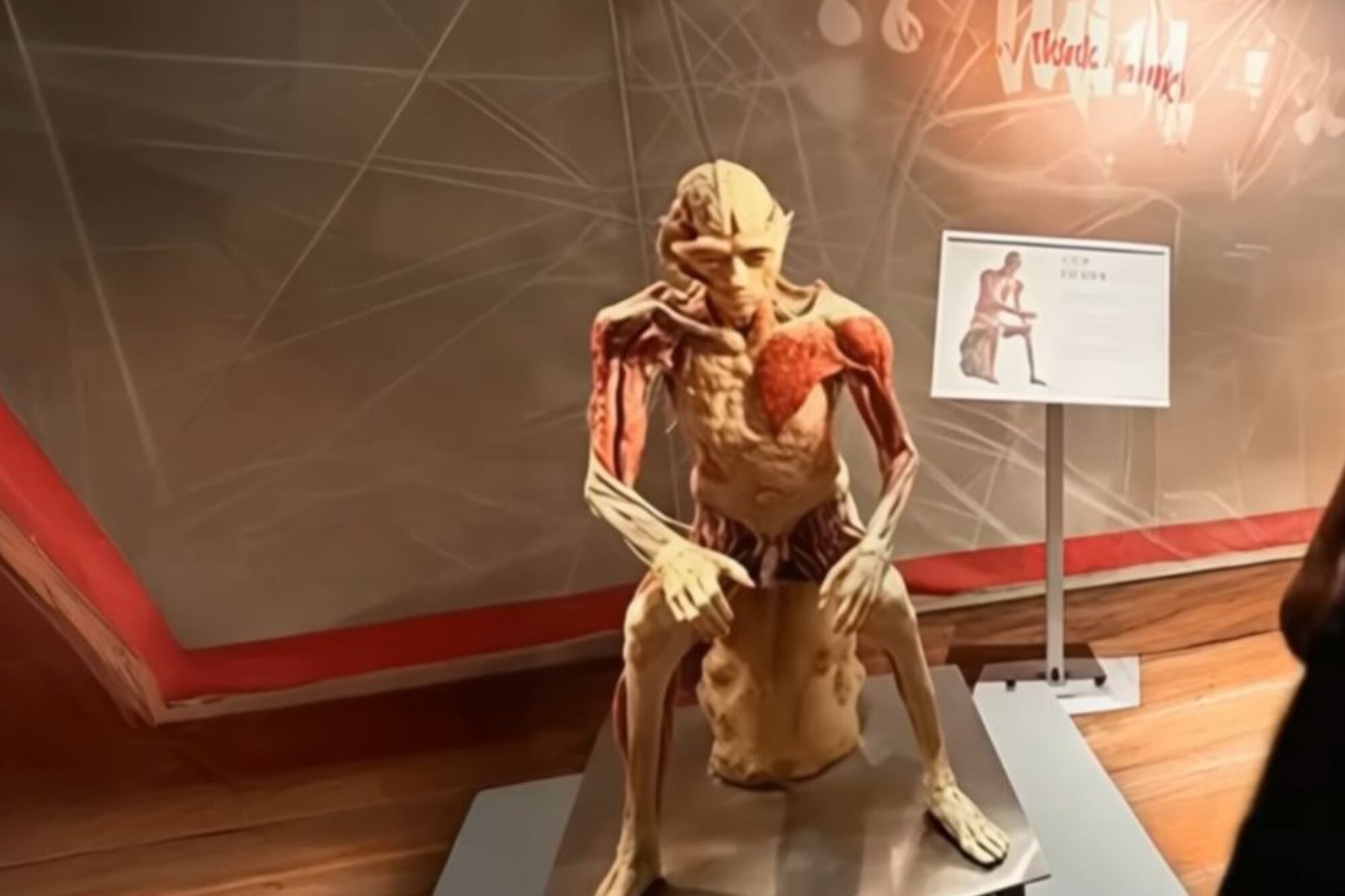 El cuerpo formaba parte de la muestra “Real Bodies” (Foto: canal de youtube: Crímenes Imperfectos)