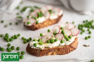 Son fuente de proteínas y fibras, se comen crudas o cocidas, calientes o frías