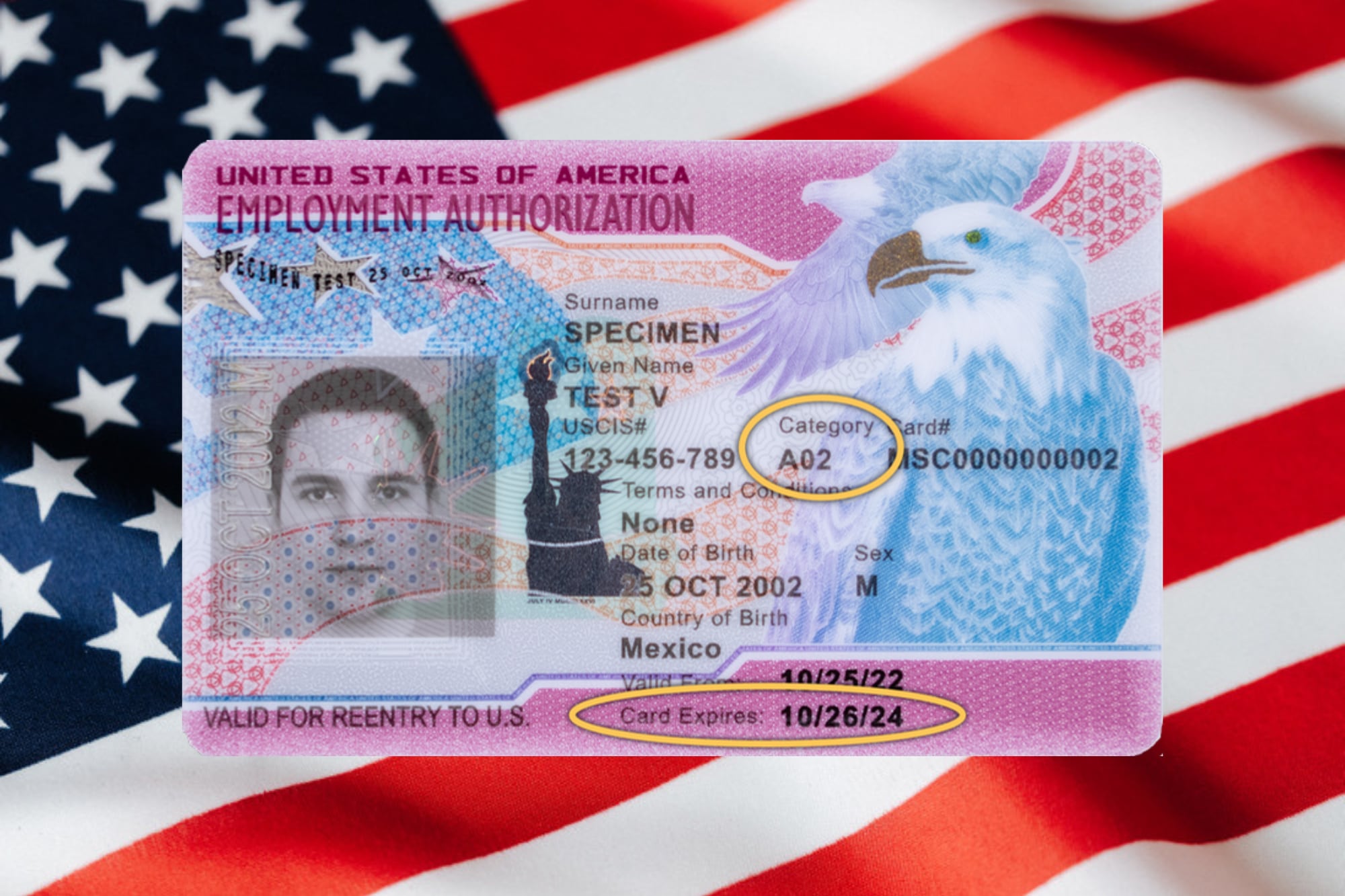 Guía oficial del Uscis sobre el EAD: qué es, cómo funciona y categorías que aún lo pueden tramitar