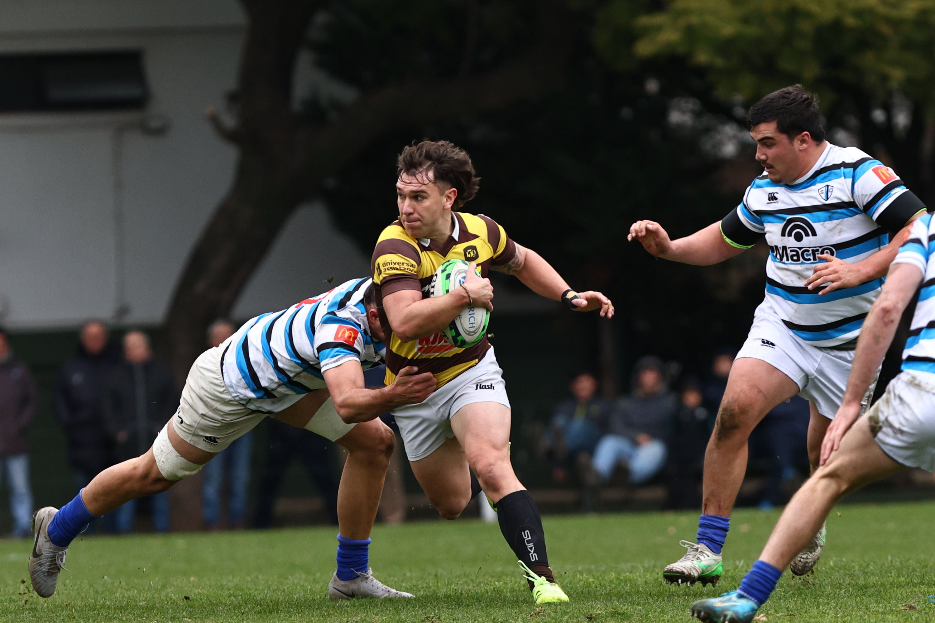 Top 14 de URBA: Belgrano aplastó a SIC, Newman volvió a ganar y Alumni goleó a CUBA