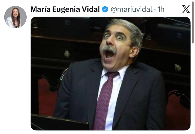 El posteo de Vidal tras conocer las acusaciones de Sergio Schoklender