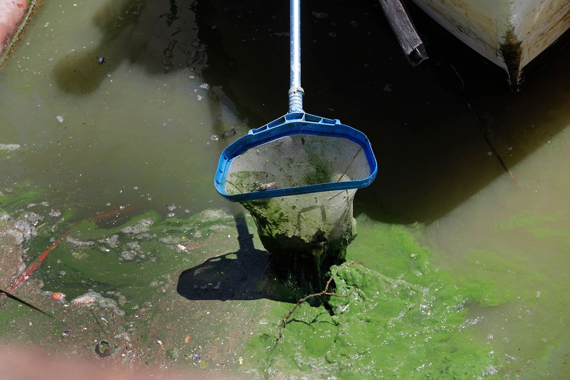 Con limpieza física, corrección química y paciencia, es posible recuperar el agua