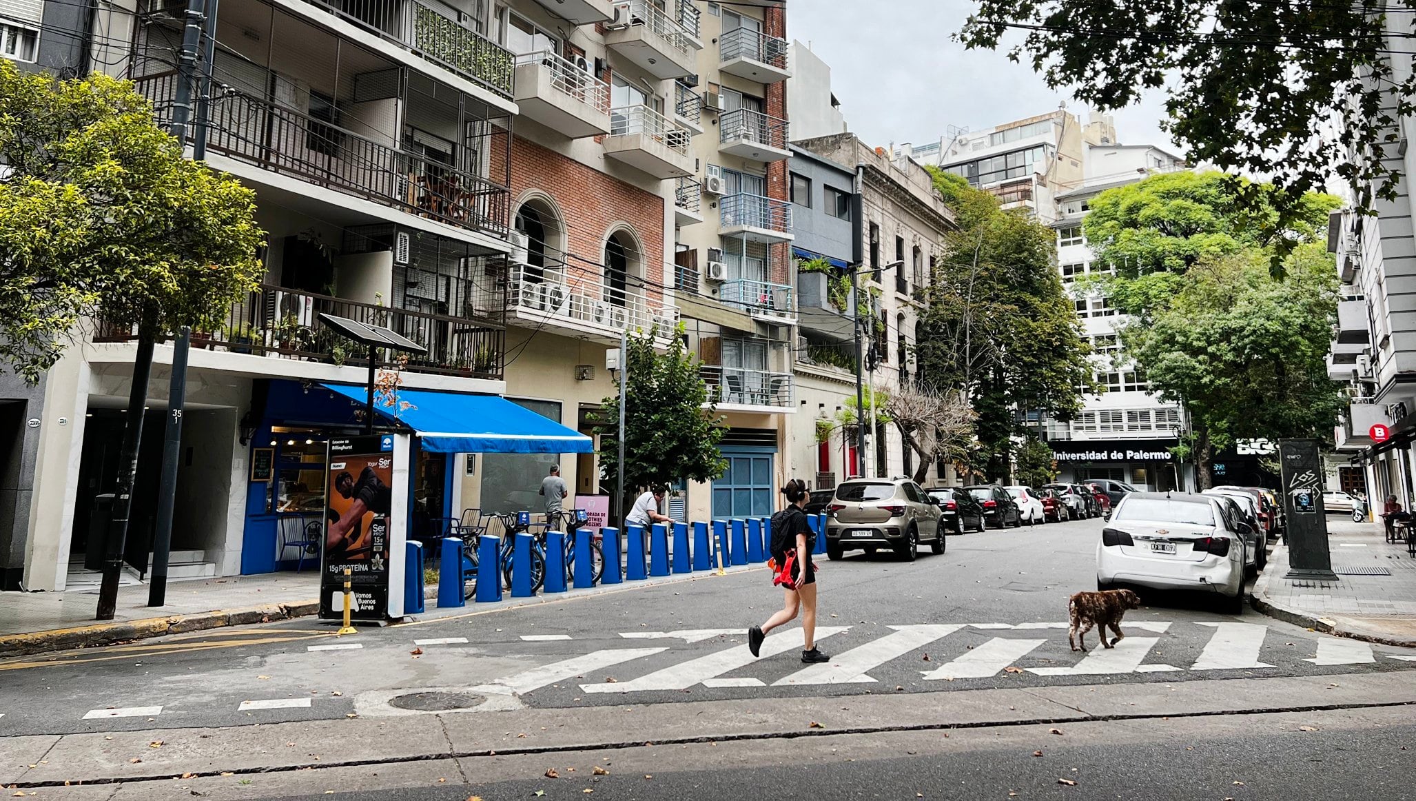 Precios, alquiler, proyectos, créditos: las herramientas interactivas de LA NACION para entender el mercado inmobiliario