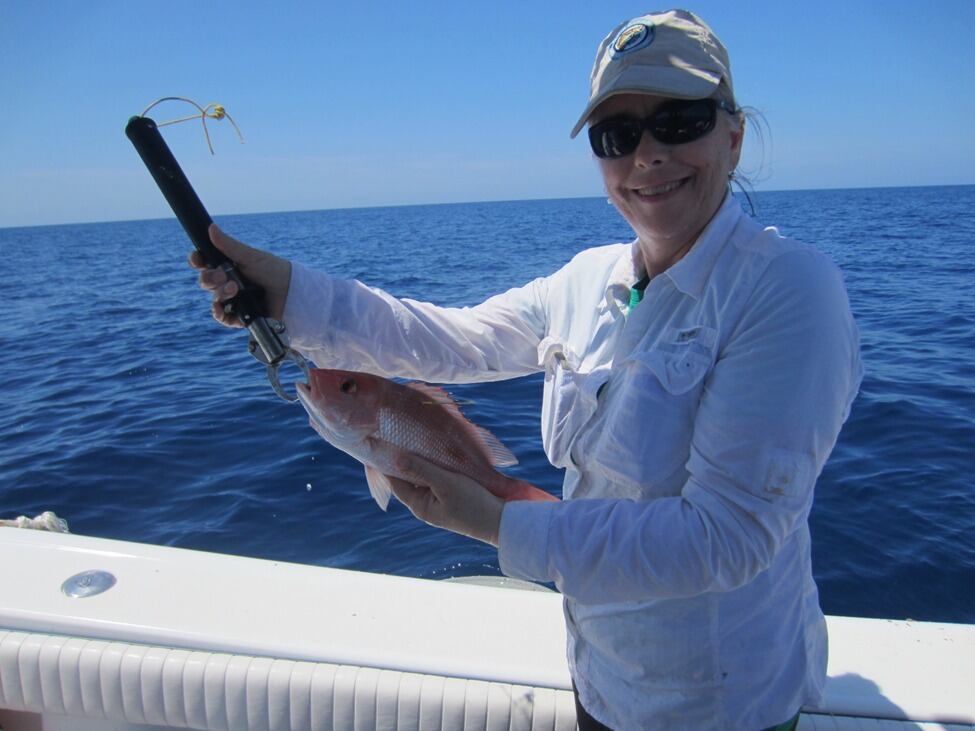 El ejemplar del pargo rojo fue capturado por primera vez en 2016 cuando medía apenas 14 pulgadas